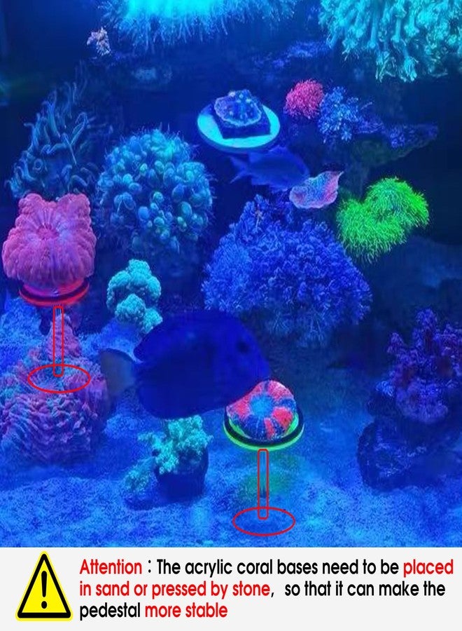Saricho coral frag holer,Column, set of four with four round Flat coral pedestals - Image 5